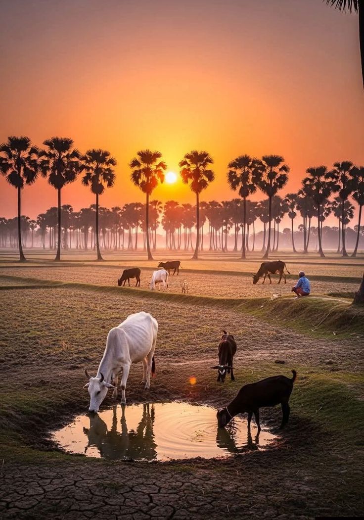 HumdardAlfaaz's tweet photo. हजारों अच्छाइयों की कोई रसीद नहीं होती
पर एक गलती का पूरा हिसाब रखा जाता है ! https://t.co/pqBrvNkHL4