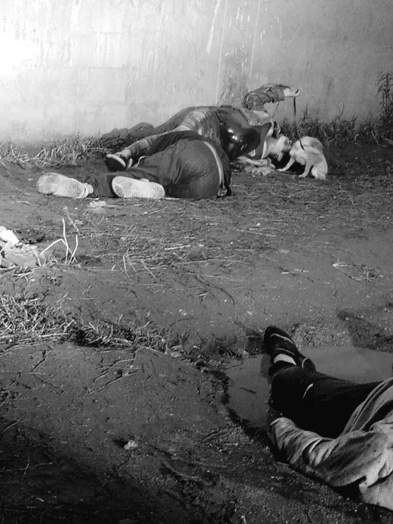 WalteHermosilla's tweet photo. *URGENTE* 

AMPLIACIÓN: 

DOS MUERTOS Y UN HERIDO 
Plan Internacional, San José, zona 2 de Villa Nueva. https://t.co/v06JReLXTK