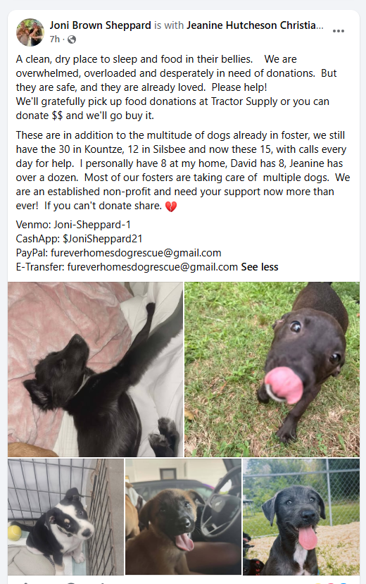 FHDRofSETX's tweet photo. 🚨🚨🚨If you ever wondered what Jeanine's day looks like. Here is a brief description of what she has on the go right now.  If you can help. Please donate
Anything helps.❤️❤️❤️❤️❤️🙏🙏🙏🙏🙏 https://t.co/zOEeQ6oPhu