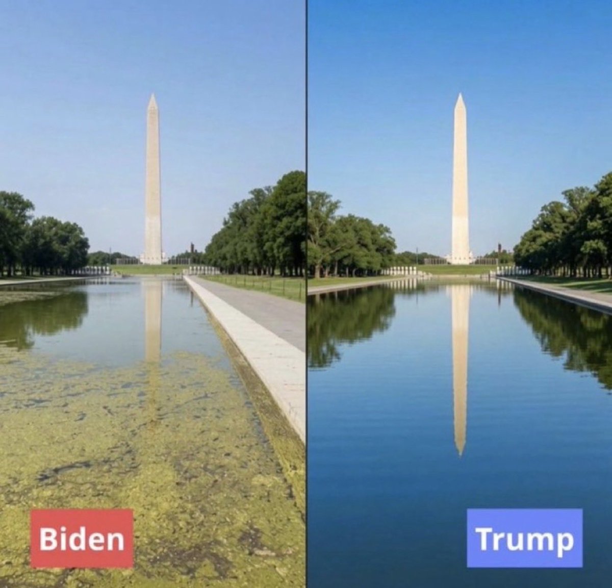 JoshRom21's tweet photo. @royermattw Were you born stupid or is this a live choice. I don’t wanna hear shit from the people who spent 20 million on Afghani trans Elmo. https://t.co/KBuuTNK8FT