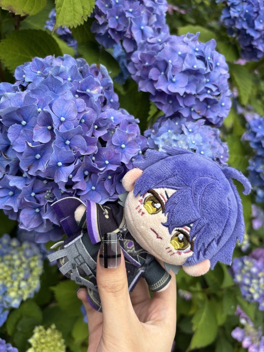 mi_yu0107's tweet photo. 紫陽花祭りでぬい活 https://t.co/uXHpl7d5s8