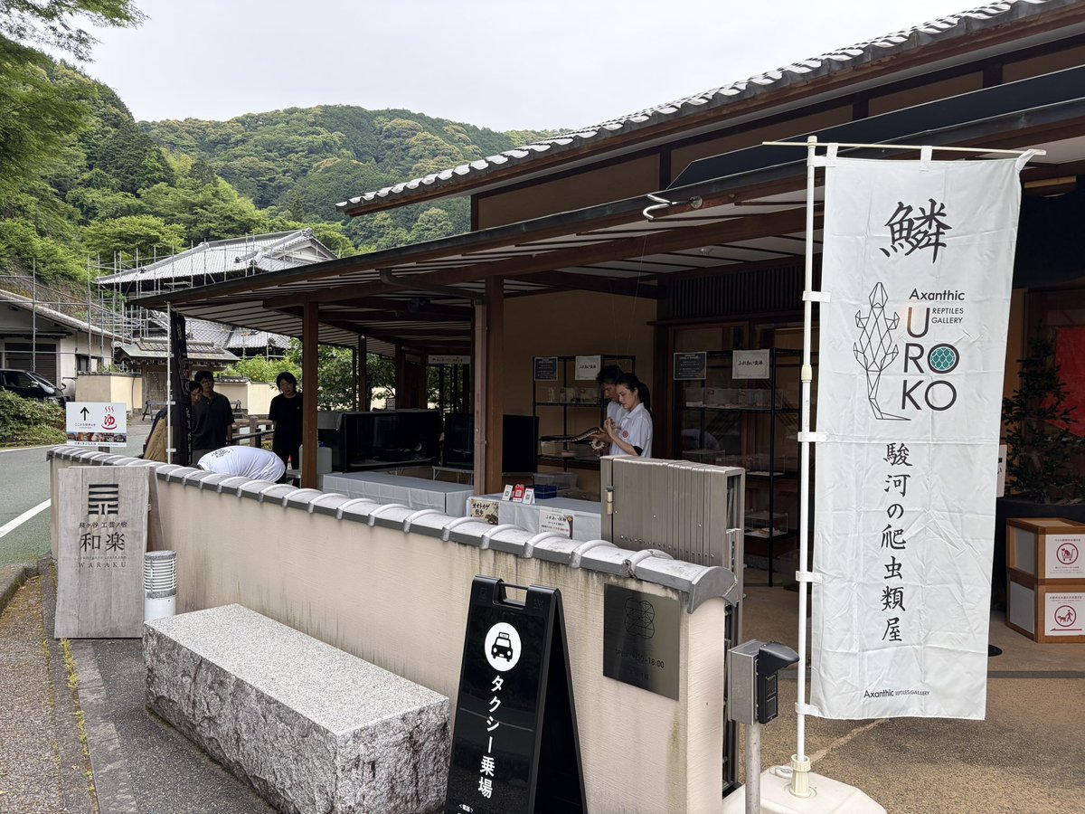 Repmaru_T's tweet photo. 𓆈イベントのお知らせ𓆈

本日6月7日（日）、『駿府の工房 匠宿』にて "出張爬虫類園" を開催❀

爬虫類たちとの『ふれあいコーナー』や『カメの餌やりコーナー 』をご用意𓆉 ✨

さらに！大迫力の『オオトカゲ散歩』も実施いたします🦎ˎˊ˗ 

匠宿エントランスで17時まで開催❗️

ぜひお越しください。 https://t.co/fMOhcpUvkW