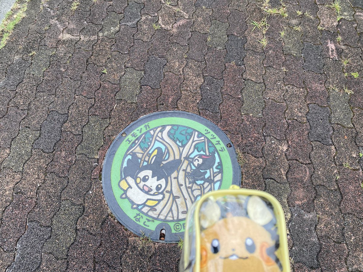 Dede_Craftsman's tweet photo. ポケふた集 https://t.co/JYo9rq3t8g