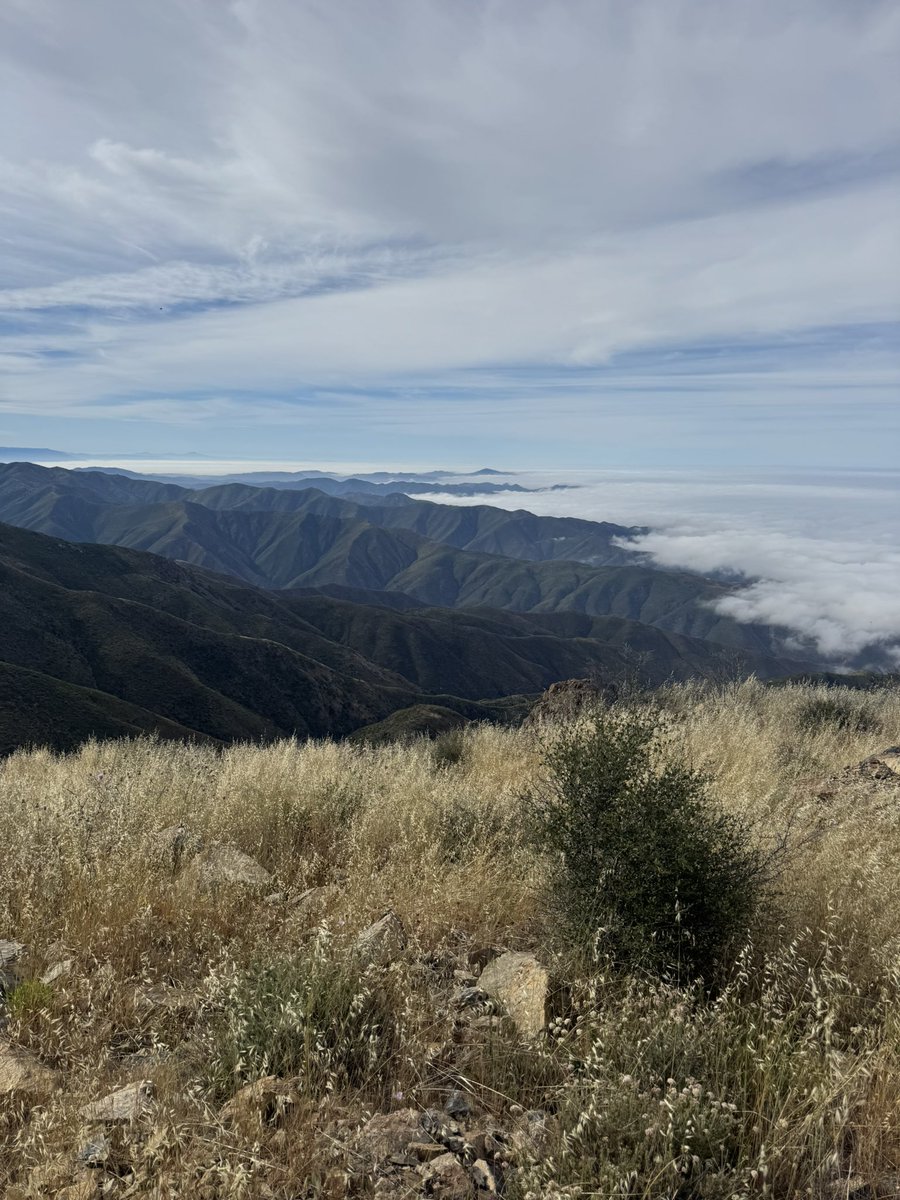 ericbeneker's tweet photo. @R1Stephanie @Hilbe Rode up a small 5,000+ foot mountain this morning….on my bicycle hahaha https://t.co/LAYXBEzid1