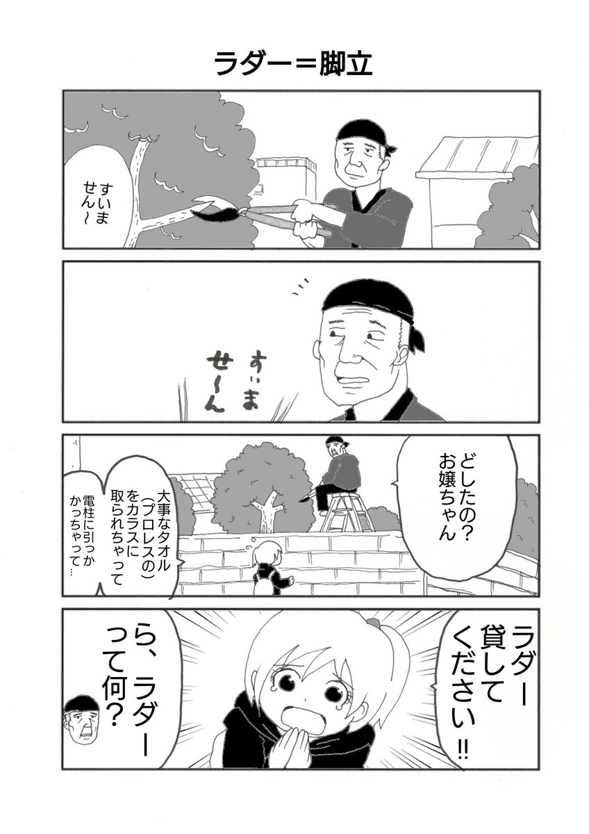 mo246R_p's tweet photo. そもそも一般の人はラダーが何なのかすらってハナシ https://t.co/SUIkl9CpMv