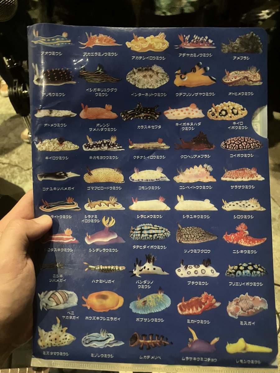 matayopisu's tweet photo. 名古屋感動…海グッズ頂き感謝🥲 https://t.co/CBAj1cT9m1