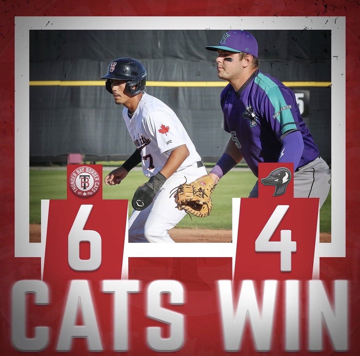 Thunder Bay Border Cats tweet media