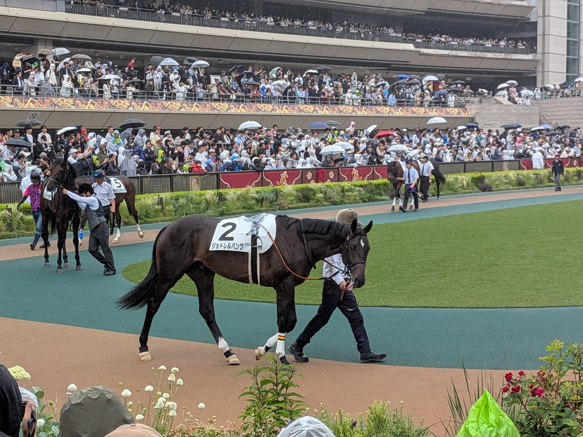 pixie_chuo's tweet photo. 当サークルの大学対抗POG1位指名馬
ジョドレルバンク、いざ出陣！！ https://t.co/8RxYTi3wUq