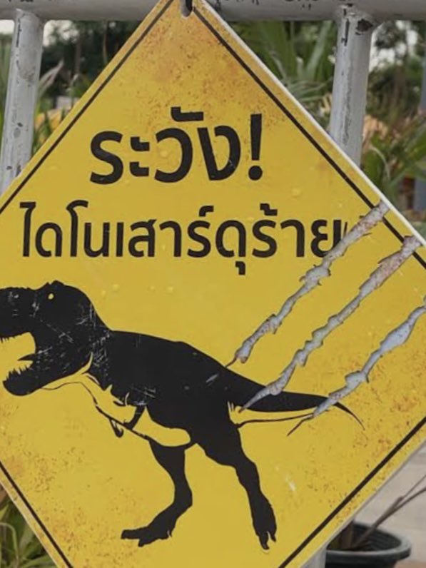 ตุ๋นต้มนึ่ง tweet media