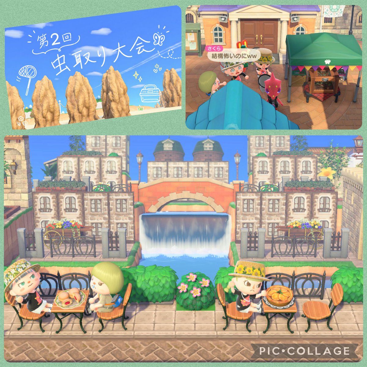 AkMeys's tweet photo. 〜第2回虫取り大会〜

さくらちゃん、ちぇるちゃんと虫取り！🦋
ハプニング（！？）もありつつ安定の楽しさでした♡🫣
レックスは相変わらずの塩対応でした🤣

さくらちゃんの島はほんっとうに圧巻🫪
今度は浮かれた観光客で遊びにいきたい♡

2人ともありがとう🫶
@oivr535133 
@shari314skr https://t.co/xcCBJLw1ch