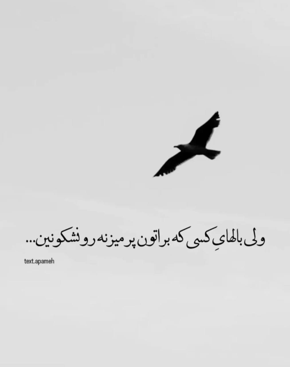 TAMAMEMANI's tweet photo. https://t.co/9jJlU7DH6v