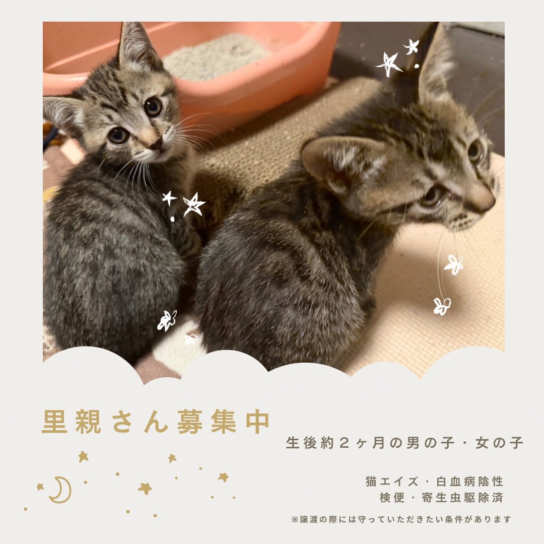 dabosuke__'s tweet photo. https://t.co/DAPqSJmjh9