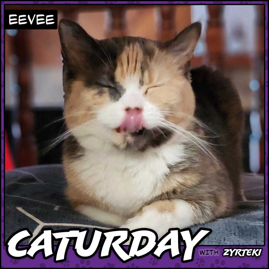 Zyrteki's tweet photo. It's June, and #Caturday has returned! Eevee would like to welcome you all back, funny face and all!

Want your cat featured on Caturday? Send your cat's photo and name to caturday@zyrteki.com! https://t.co/4k1RE0Y8SH