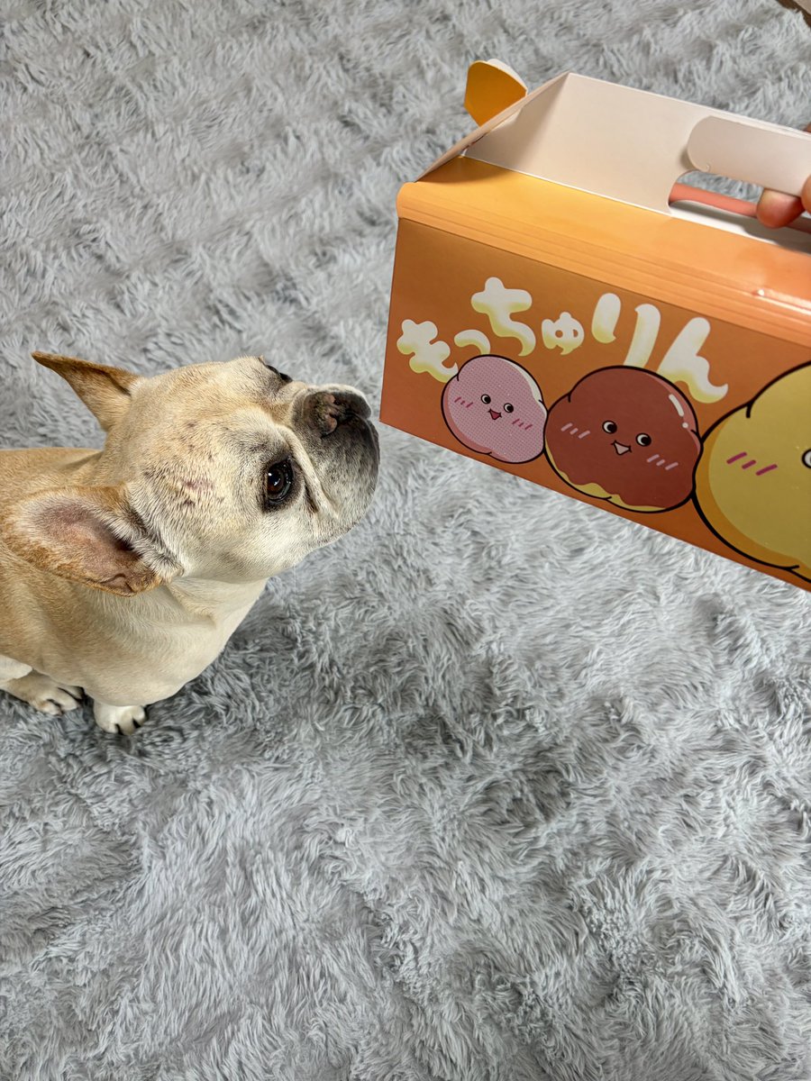 tom_trail25's tweet photo. 流行りのやーつ🍩 https://t.co/ZKNIhqUzK6