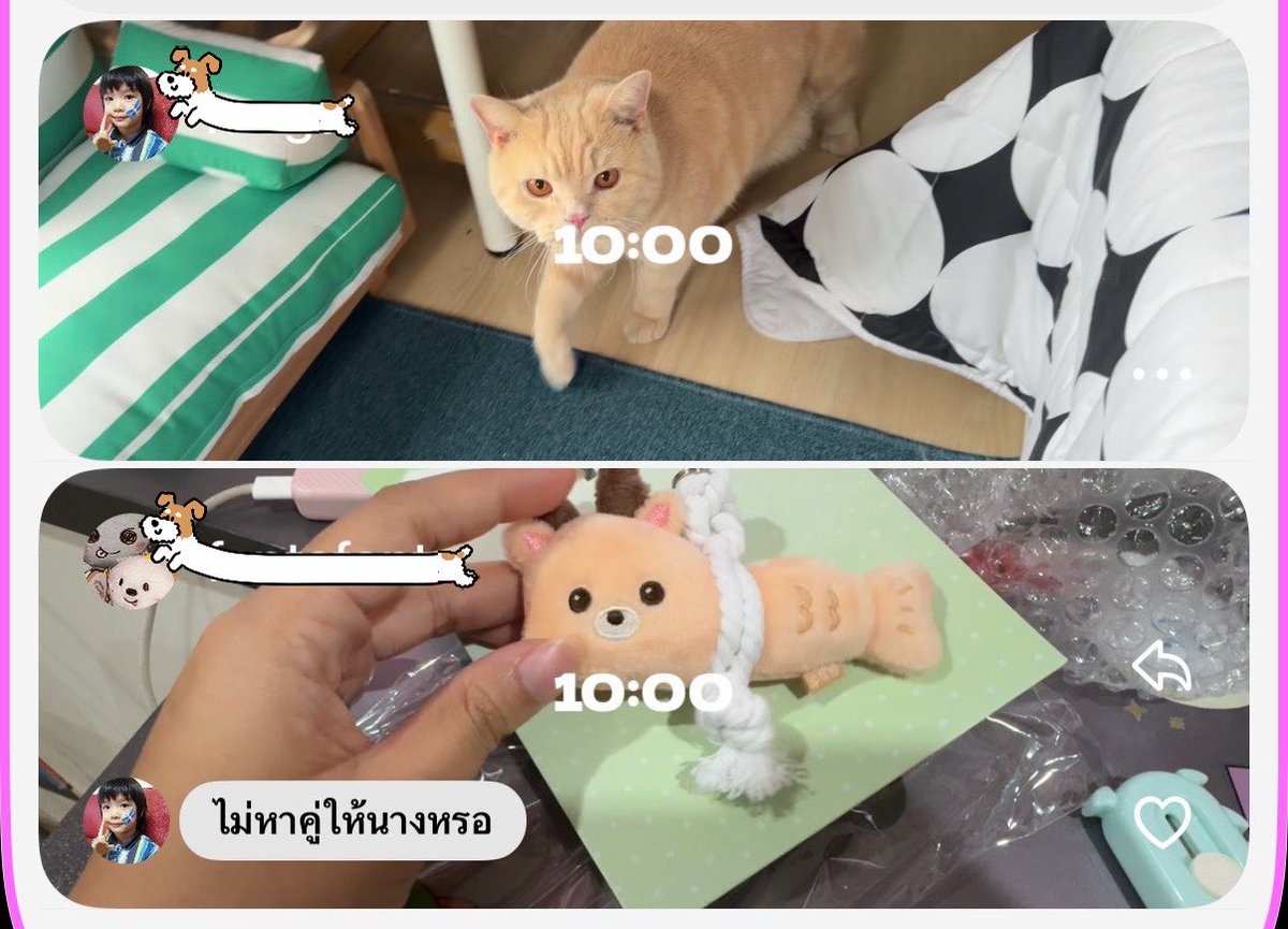 pieceofthecloud's tweet photo. แตกต่างเหมือนกัน # ลัทธิปลาส้ม https://t.co/If1klOyxf1
