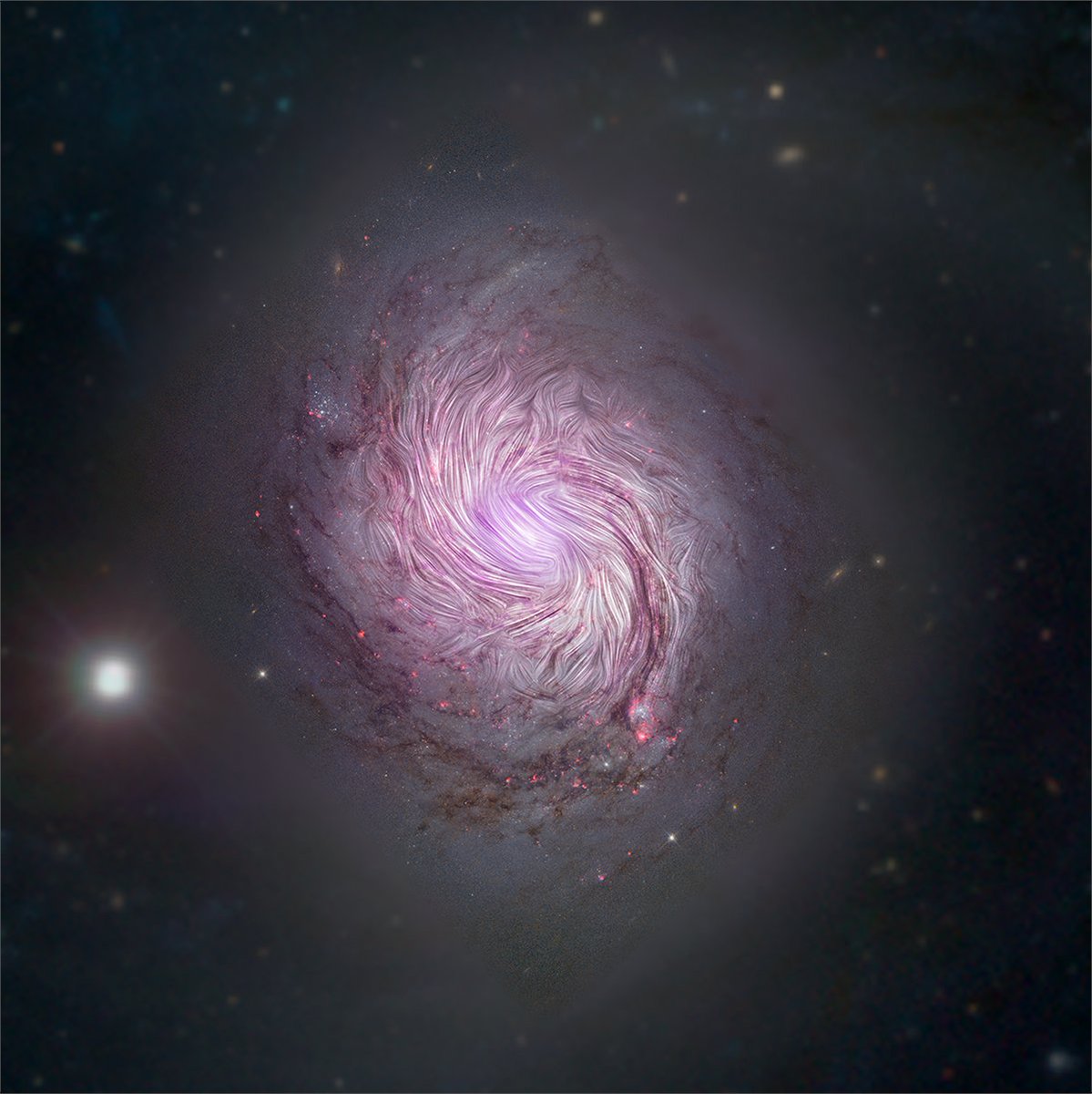 WorldAndScience's tweet photo. Fascinating: Infrared observations from the SOFIA telescope reveal what human eyes cannot see in a spiral galaxy, magnetic fields tracing their spiral arms.

(Credit: NASA/SOFIA; NASA/JPL-Caltech/Roma Tre Univ.) https://t.co/UPpOB3Rk3C