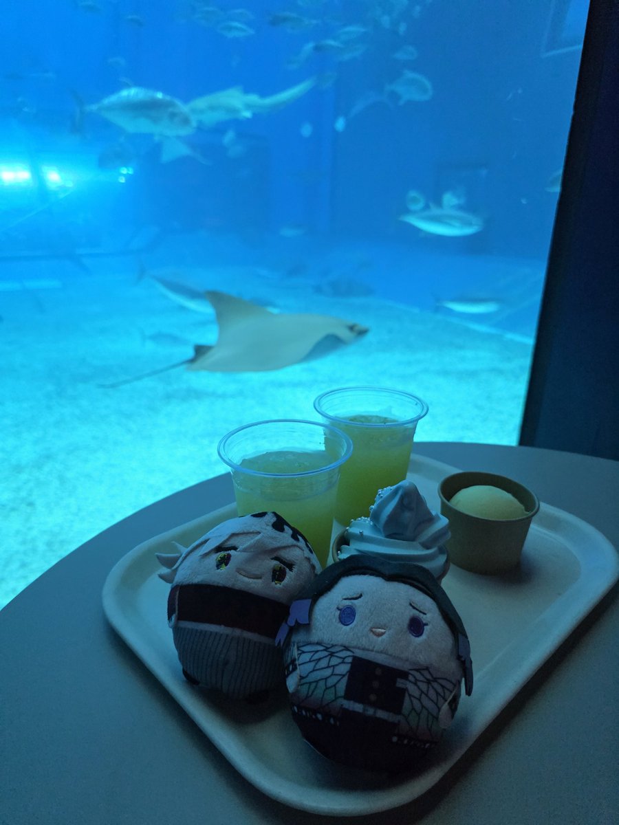 Aren_1231's tweet photo. はいさい🐋 https://t.co/vvUfzg2SW0