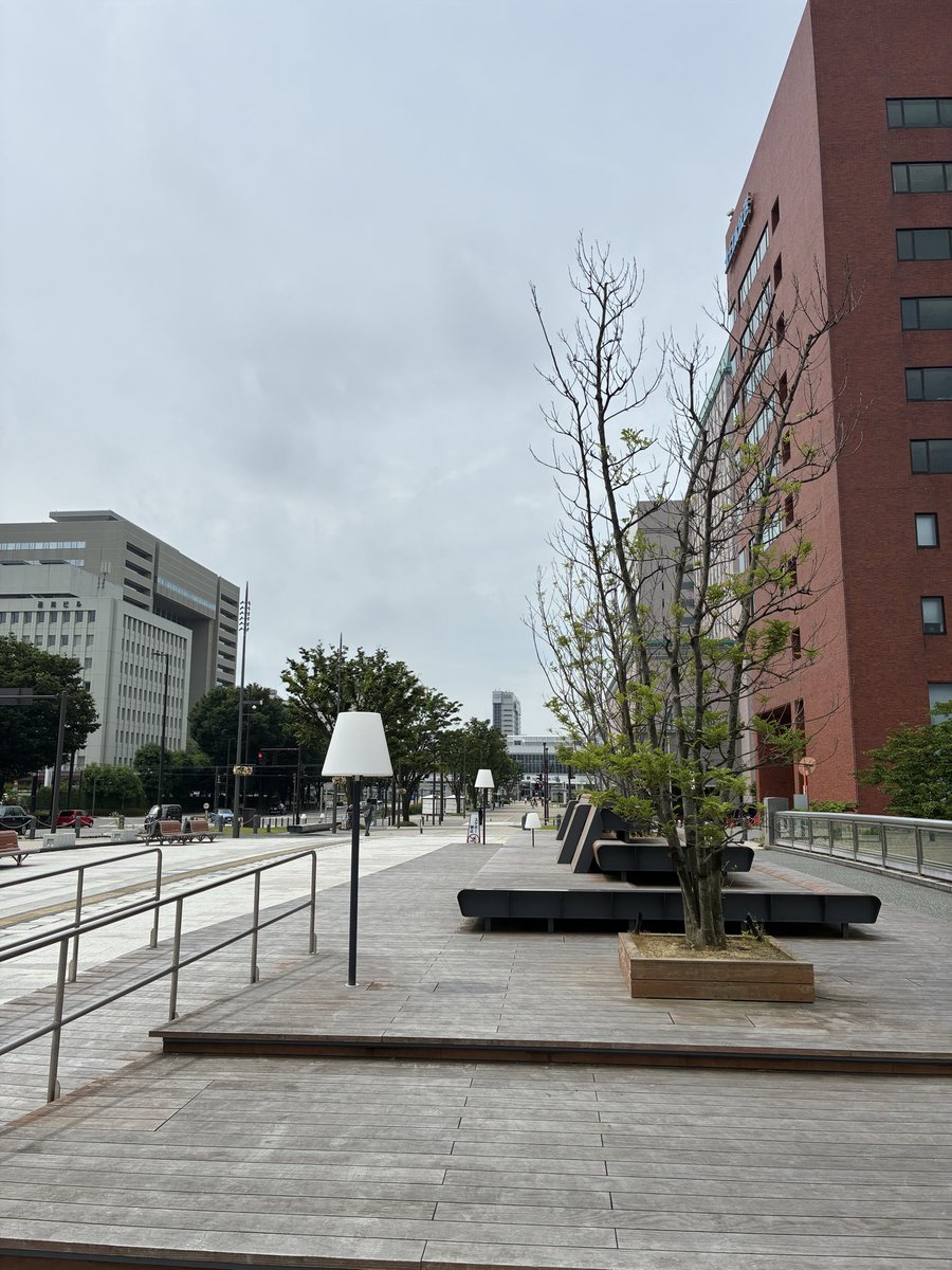 hhffjp's tweet photo. 富山市。
この辺りに住んで毎朝ジョギングしたいと思えるような街です。 https://t.co/6IJaB8BMwX