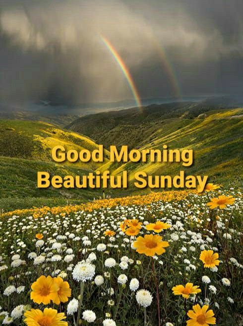 KiltyAlan's tweet photo. @kirkura17 Goood Sunday Morning Kirk. I Hope You're Enjoying Your Weekend My Dear Friend, Wishing You A Wonderful Sunday 👍 Take Care Of Your And Stay Safe 🙏 Be You Amazing Self ♥️ Be Happy 😀 And Keep Smiling 😊 Much Love 💖 To You 🫶💞🤗💞🌈🫶 https://t.co/t24sWoADkX