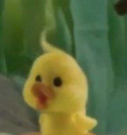 seok_1031_'s tweet photo. 뼌아리🐣 https://t.co/gAuVpjrquP