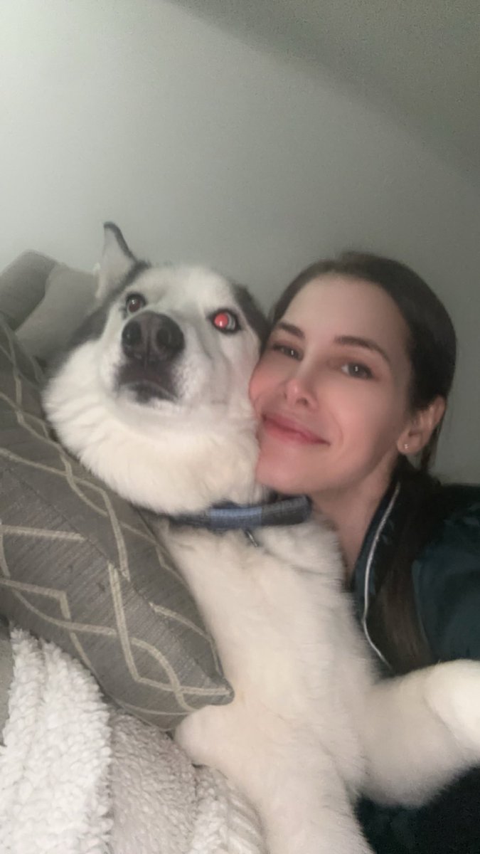 Spawn_of_sal's tweet photo. i just love smothering him when he wants to sleep https://t.co/LYqppD412s