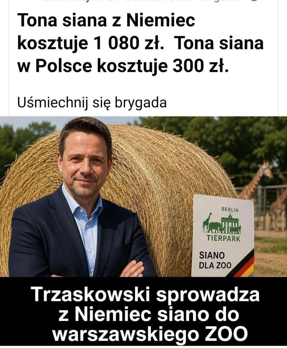 GornikAw48379's tweet photo. I on chciał być prezydentem Polski wstydu nie masz https://t.co/Q3RNoiiviY