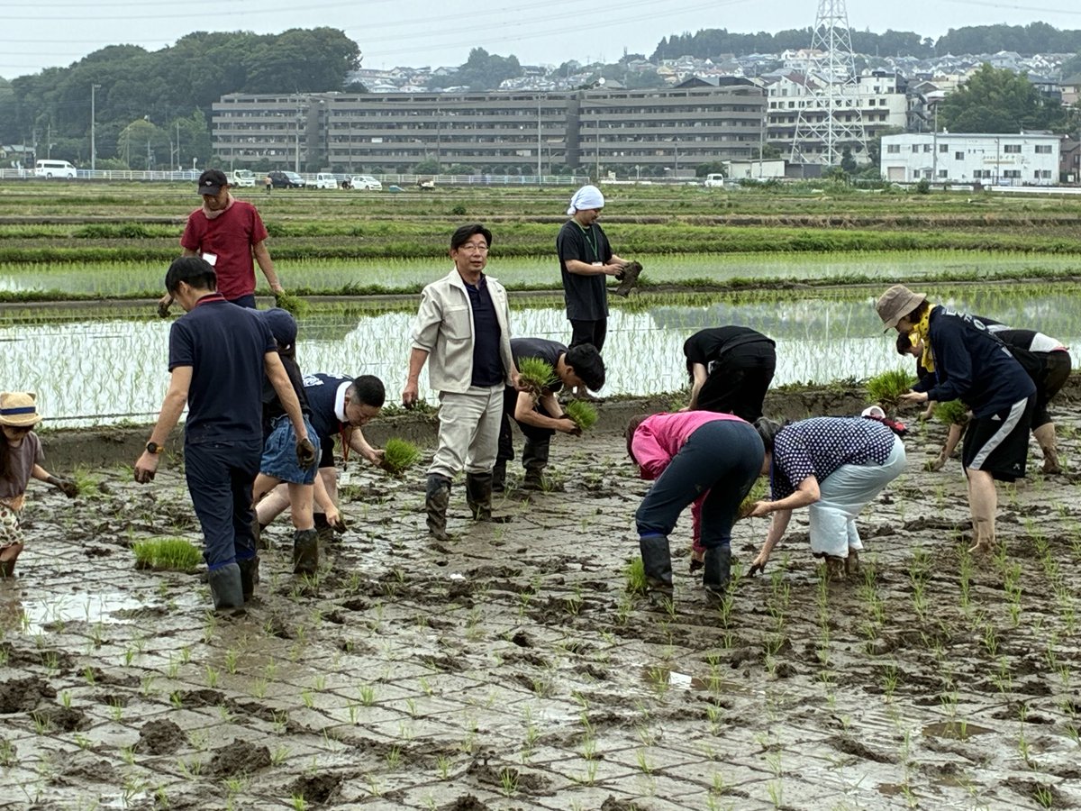 munekata66's tweet photo. 毎年恒例、泉橋酒造さんの田植え会に参加させて頂きました🌾
今年で8回目‼️慣れたもんです👍
田植え会に参加すると泉橋さんのお酒に対する愛着も更に沸きますね❣️

#泉橋酒造
#田植え会 https://t.co/LLEcAGfAON