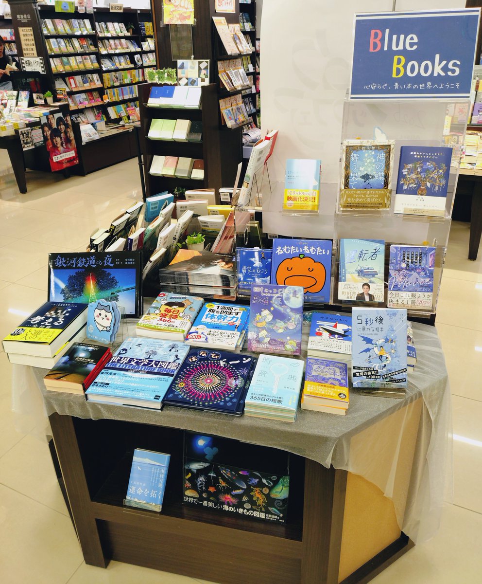 MegaOouchi's tweet photo. 思わず手が伸びる！ジャケ買いしたくなる！
【Blue Books ～青い表紙の本、集めました～】コーナーを開催中です📘
疲れたあなたの心に癒しと安らぎをくれる
青い表紙の本たちを様々なジャンルから集めました💙
サービスカウンター横フェアコーナーで展開してます☄️
皆様のご来店お待ちしております！ https://t.co/GLrJ7pCAvA