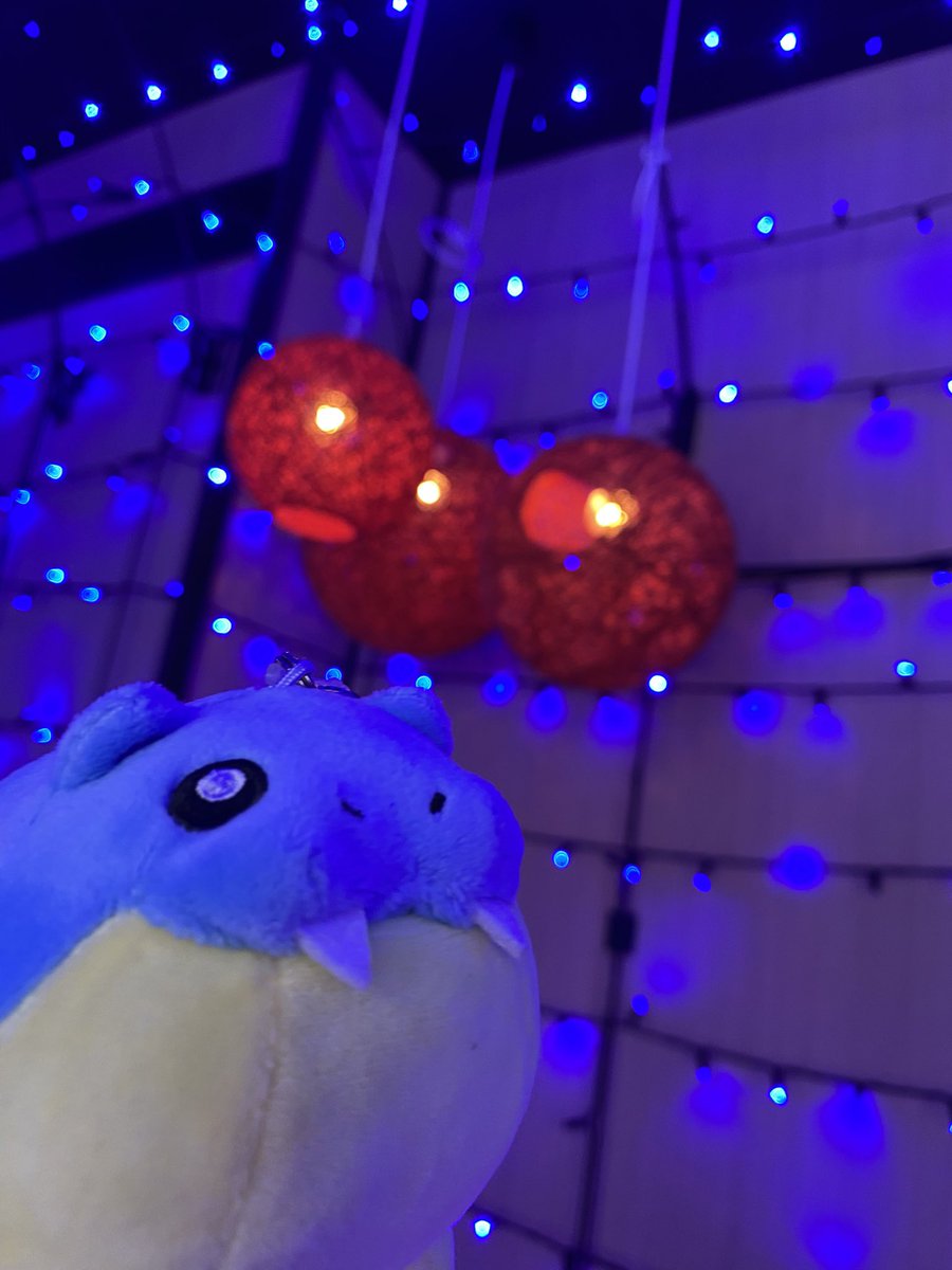 Roy_Cubone's tweet photo. らぶスノ〜とぽこあのメタモン、初めての冒険
カッコいい場所だね✨ https://t.co/Ay1sqJ7UGL