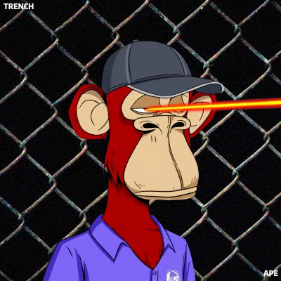 trenchapesolana's tweet photo. ⛓️ GM TRENCHERS SAY IT BACK! 🦍

TONIGHT 200 NFTs HAVE BEEN MINTED!

⚠️60 SPOTS LEFT FOR 0.02 $SOL PRICE⚠️

MINT 👉 https://t.co/e2K0y86adH

Take your chance legend.

#solana #nfts https://t.co/sHQbUNg3EF