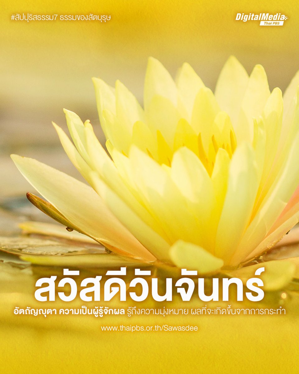 ThaiPBS's tweet photo. #สวัสดีวันจันทร์ 💛 #สวัสดียามเช้า  
🪷 ชวนจดจำ #สัปปุริสธรรม7 ธรรมของสัตบุรุษ | #อัตถัญญุตา ความเป็นผู้รู้จักผล รู้ถึงความมุ่งหมาย ผลที่จะเกิดขึ้นจากการกระทำ
.
📍ทักทายได้ทุกที่ #สวัสดีทุกสีวัน แชร์ฟรี คลิกเลย!🙏https://t.co/0Sx5iHSb7y 
.
#ธรรมะ #ธรรมะสอนใจ #ThaiPBSสวัสดีทุกสีวัน #ThaiPBSDigitalMedia #ThaiPBS
