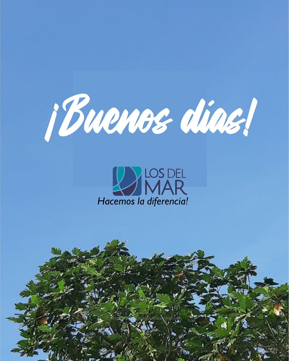losdelmar's tweet photo. Hoy es un día especial. Un día para aprovechar desde que despiertes para hacer todo lo que quieres.
¡Feliz domingo! #BuenosDías #ActitudPositiva #Optimismo #Confianza #Fe #LosDelMar https://t.co/MdZPSh2PTv