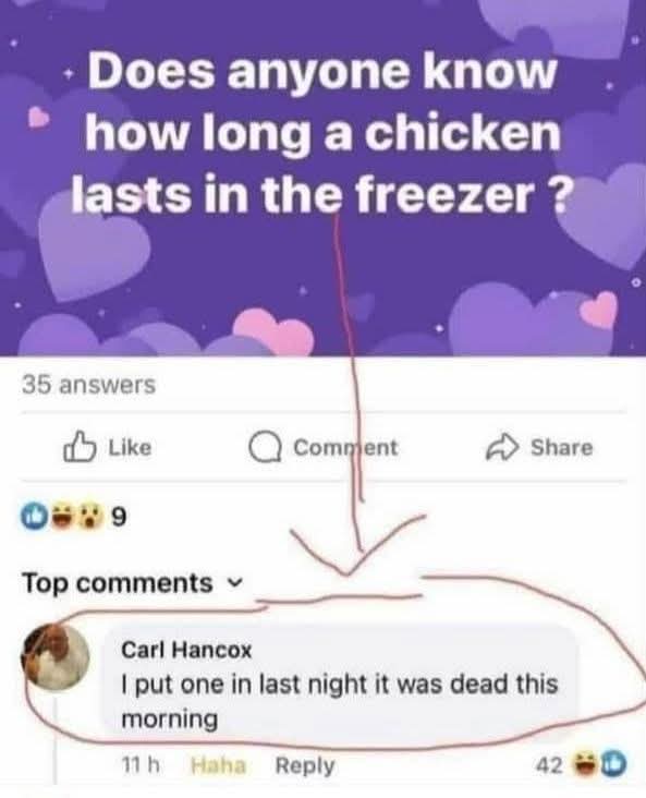 LouieKerr8's tweet photo. 🐓🥶🤣 https://t.co/phAB85MT50