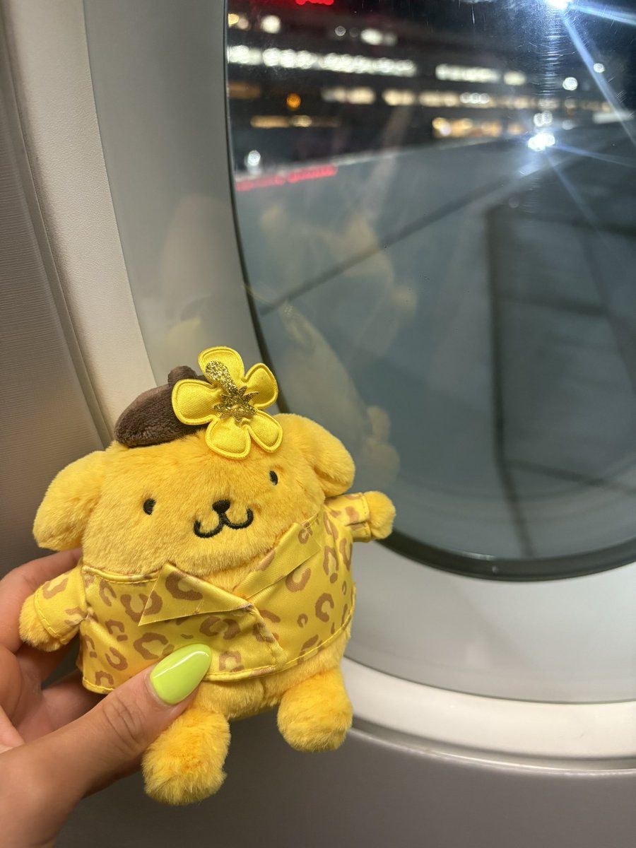 aipompin's tweet photo. 亜衣先生にレッスンしてもらいに東京へ✈️そして漫画にサイン書いてもらいました✍️
いつまで経ってもただのファン🩶🖤🩶
最早痛客🦥🫧←。ｲﾀｷｬｸ。
ポム子も嬉しそうです🩶🖤🩶
浮かれてないでちゃんと練習するです🦭
ありがとうございました🌺 https://t.co/74ThEOsCZ8