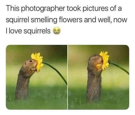 WholesomeMeme's tweet photo. https://t.co/TBqCuwBy5t