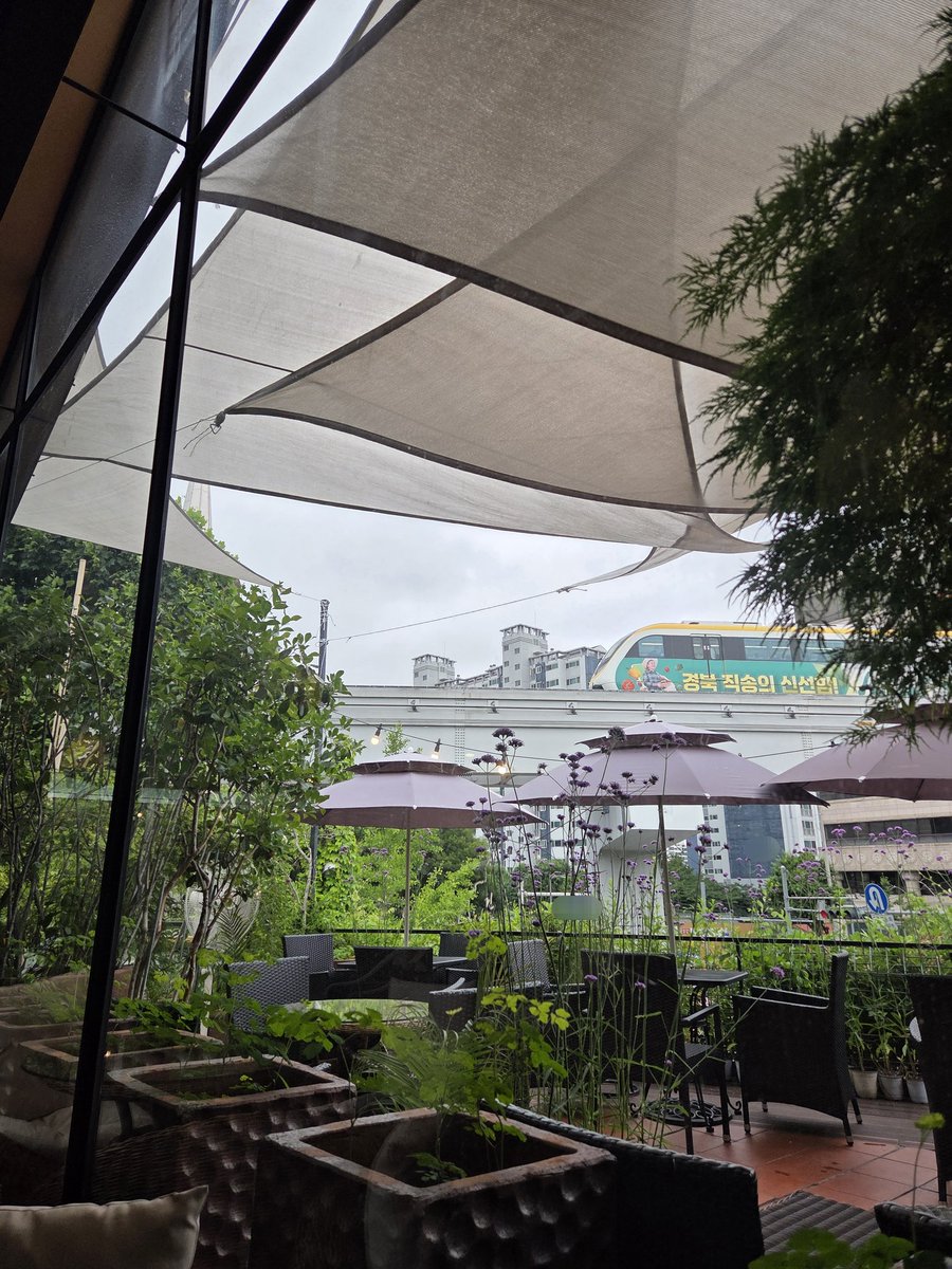 ko_0ngzi's tweet photo. https://t.co/a6wcYYj887