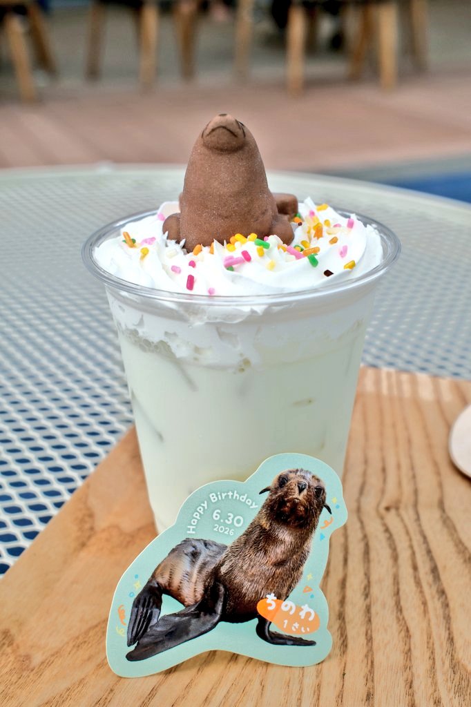 WAlexandrite's tweet photo. ちのわのバースデーメロンオレ
ちのわちゃんはマシュマロでした🍴
#ちのわ 
#京都水族館 
#ミナミアメリカオットセイ https://t.co/vuWAlh9ww0