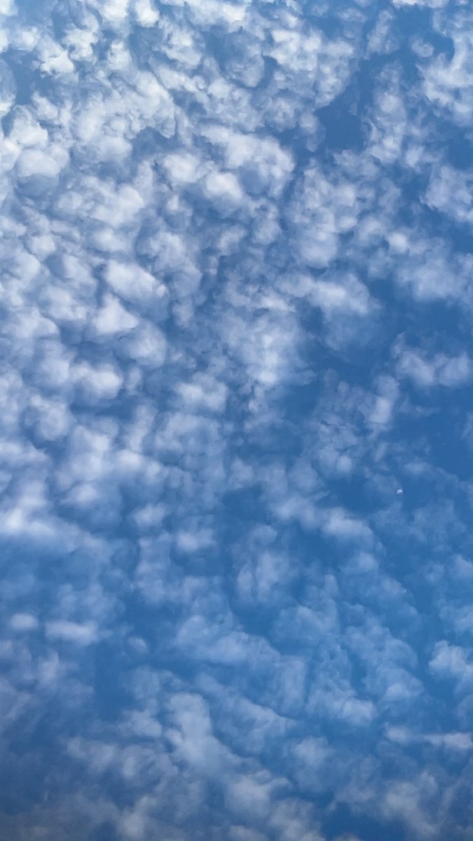 solomonjanet796's tweet photo. I just took this picture of the sky, and once again, God proved He’s the greatest artist.

This view looks so unreal, like something straight out of a painting.

Good morning fellas… Happy Sunday ❤️ https://t.co/vPaZcnvx5g