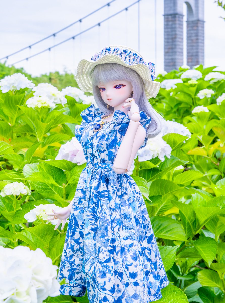 chiximyon's tweet photo. 紫陽花まだあんまり咲いてなかったけど一緒にお散歩できて幸せ🫶💕 https://t.co/uK7fn40cau