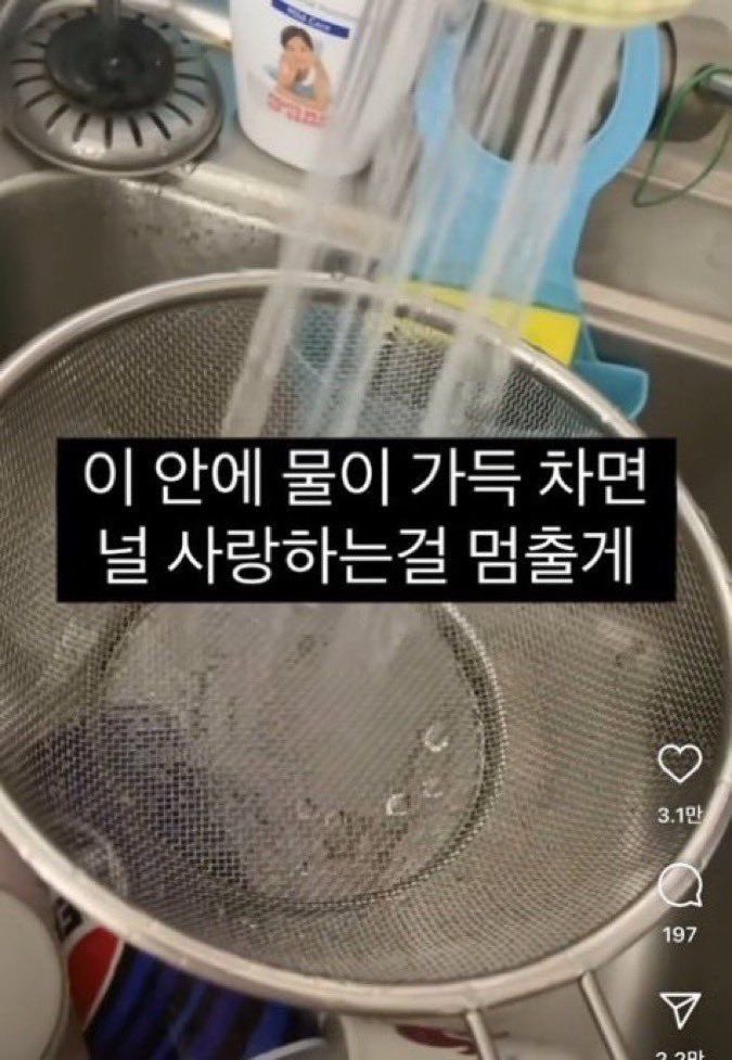 지푸라기 tweet media