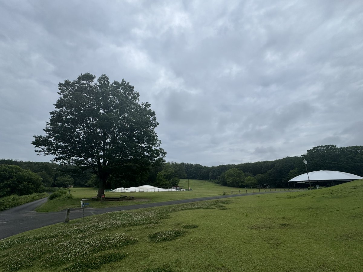 k9ta's tweet photo. 今日は、武蔵丘陵森林公園のクロカンコース5km×3周走った🏃‍♂️曇り空で走りやすい気候だったのに、汗だくのヘロヘロですわ。
仕事が忙しいと言って走ってなかったからなー。鈍ったカラダにスイッチいれないと🥴
#朝ラン　#ランニング https://t.co/XRevV60ph5