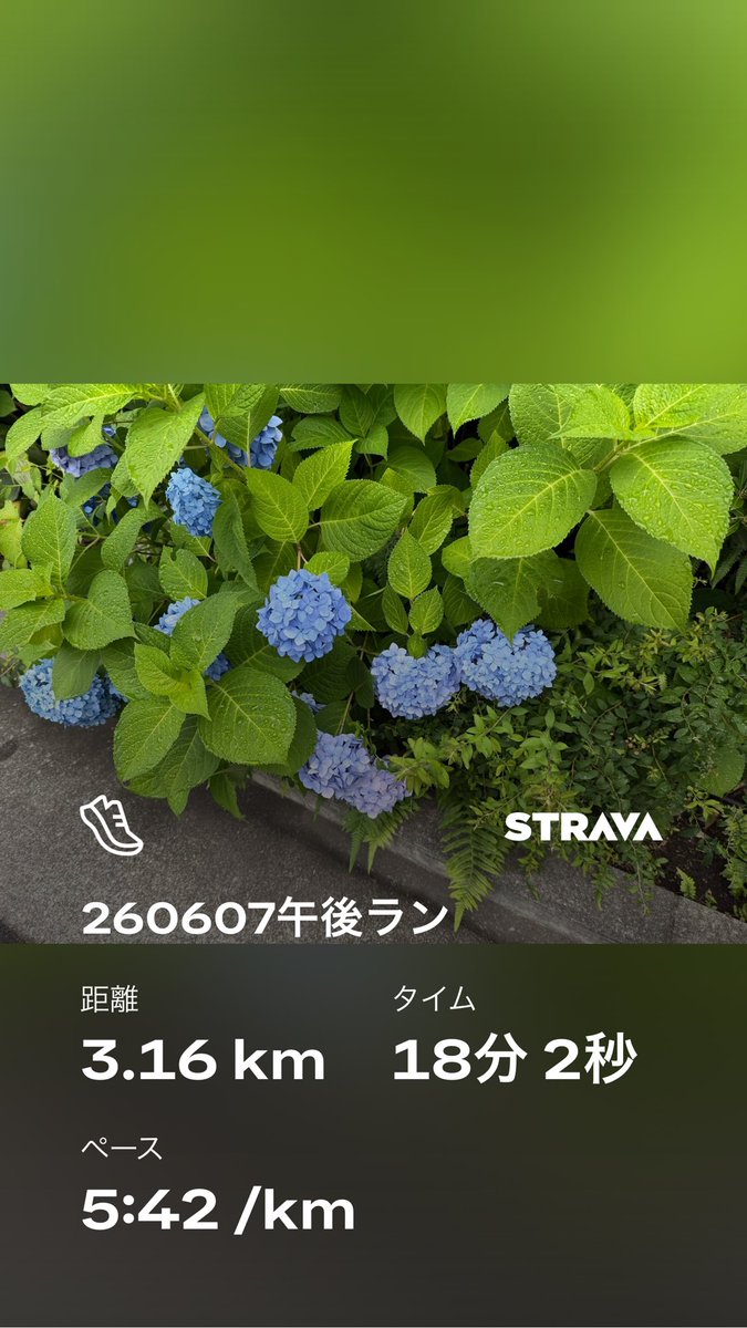 orima64 tweet picture