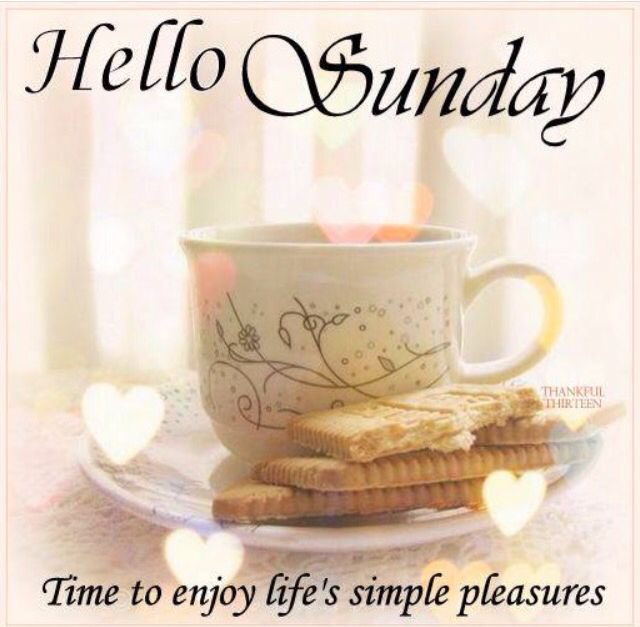 KimZandboer's tweet photo. Wishing you a beautiful Sunday Friends. 🌸 https://t.co/r2B9CgCw49
