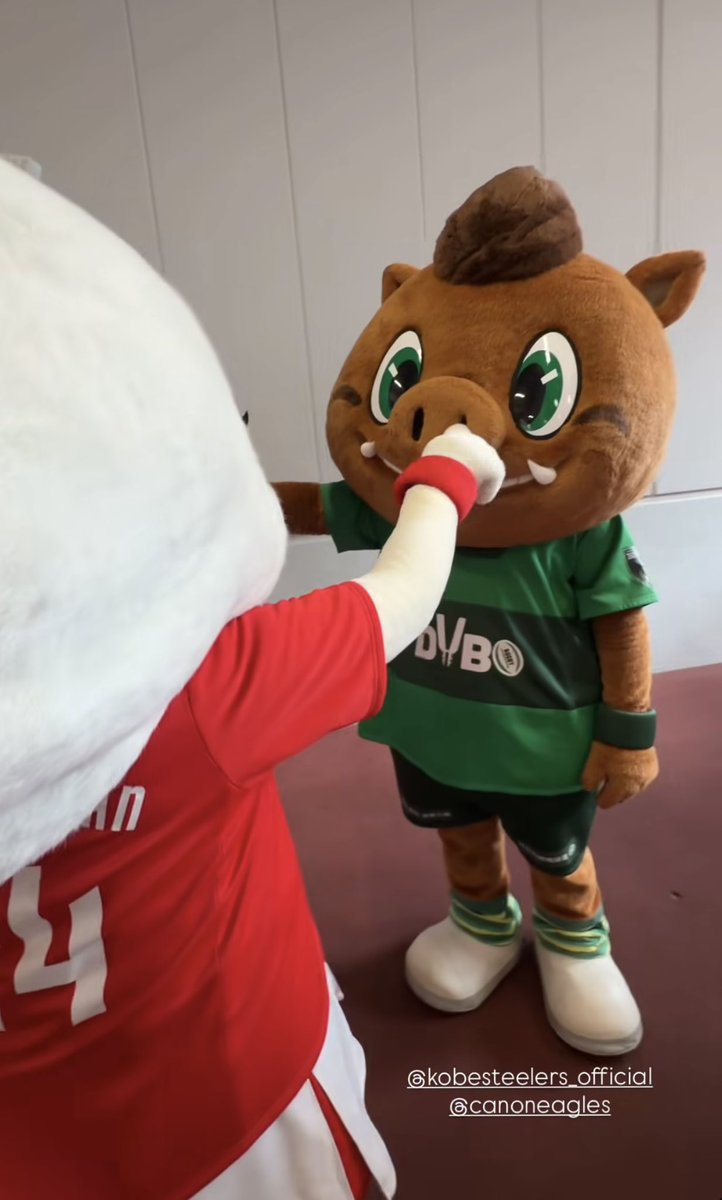 eli617's tweet photo. 心の広いダイボくん🐽笑 https://t.co/wqIS4tW0Fe