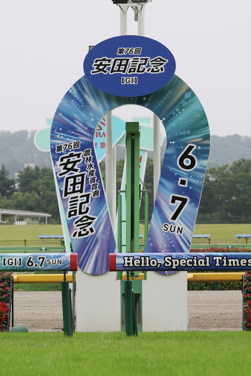 JRAVAN_info's tweet photo. #安田記念 が行われる東京競馬場のゴール板です。
マイル界の頂点を懸けた一戦！発走はこのあと15:40！ https://t.co/Lq4bIiryD0