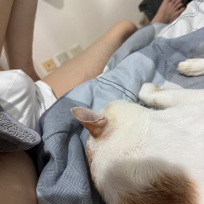summer08262's tweet photo. #NewProfilePic (新個人資料照片) https://t.co/Nv7jFELlee