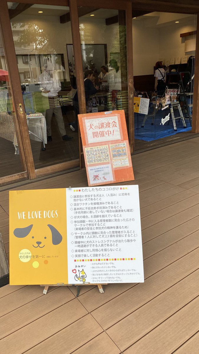Terry67465749's tweet photo. 犬、ネコの譲渡会(川越)
　tsunagu-cat 佐々木さんの紹介で、見学しました。
　愛護センターから預かった犬や、保護ネコに医療処置をして、自宅で大切に育て、里親を探します。
　里親が見つければ、また次のいのちをつないでいくことができます。
　ボランティアの皆さんには頭が下がります。 https://t.co/7e0lckaMSa