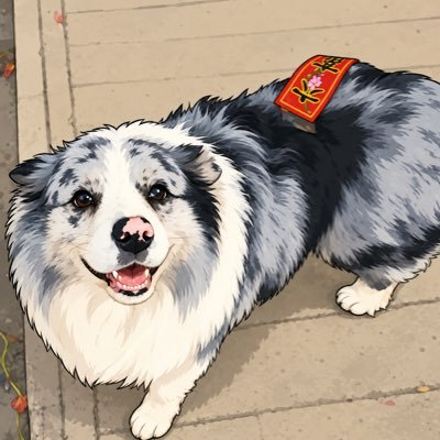 Aixe77's tweet photo. $锄头 520K dyor BSC
0x41ae12f0f0e3eed778839e6c12d039630e5b4444

BSC 上最愤怒、最具社会共鸣的中文网红狗惨案 meme！

百万粉丝网红边牧“锄头”，在河南商丘被一对骑电动车的男女强行偷走，以仅 180元 卖掉，最终被宰杀食用。狗主人（旅行博主）人在土耳其，紧急回国调监控、跨村寻狗，5月26日找到偷狗人，对方竟说“我以为没人要的”。

事件瞬间引爆：贴吧第一热议、微博抖音双热搜，数百万网友愤怒刷屏，#锄头被宰# 话题彻底出圈。

#锄头 把这起残酷的真实社会事件，化作中文互联网最强烈的情绪投射——对弱小生命的痛心、对底线被践踏的愤怒，以及“看到不公就要发声”的集体呐喊。