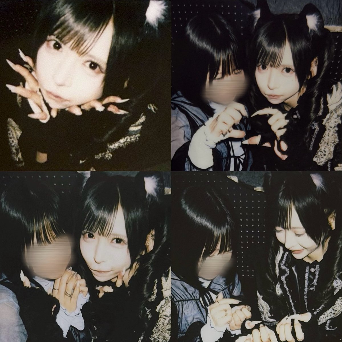 a99876012's tweet photo. 2026.06.06

 #らぶこん vol.65  @横浜1000club

#ぽゅらせてにゃんちゅー https://t.co/JpaHt165tV