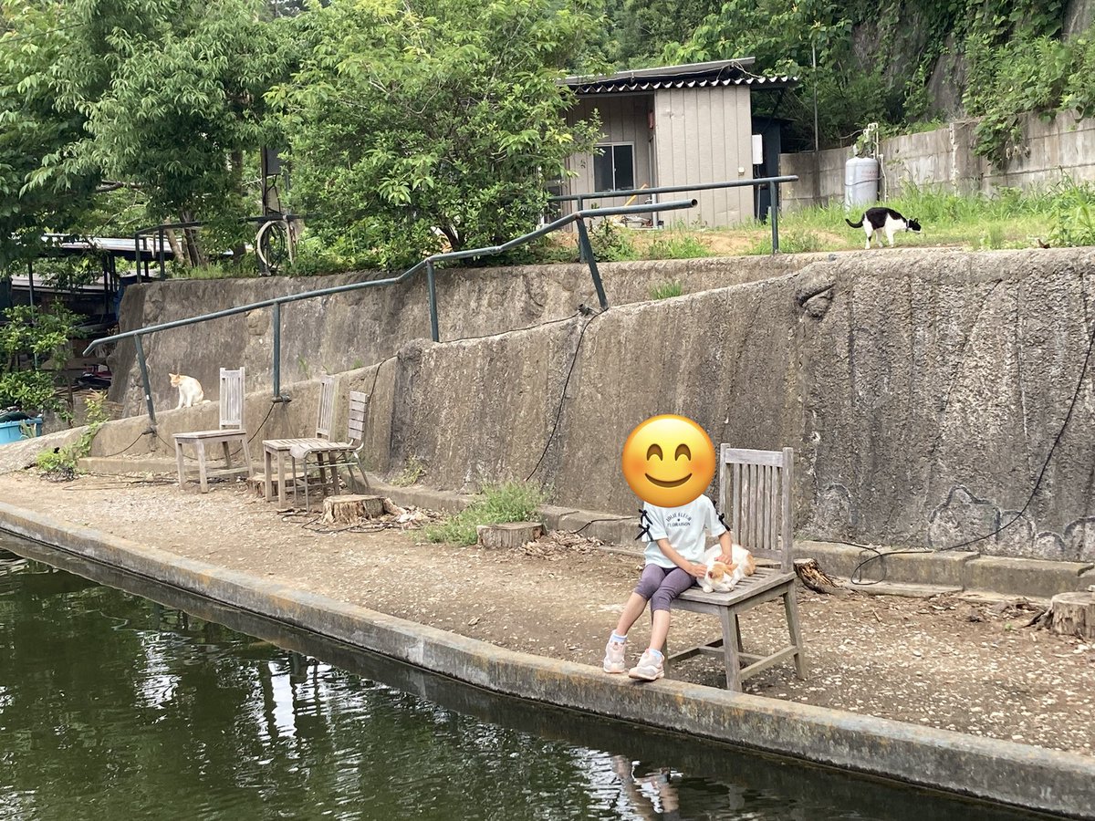 onshryk's tweet photo. 今日も猫パ…ならぬ釣パラダイスさんへ✨
トラウトタックル持って行きました😊
8:30〜11:30 17匹🐟

コレといったパターンが見つからず超迷走💨💨
ネコと遊ぶ🐈

ラスト1時間でスプラッシュトップが激ハマり10匹追加👍m(_ _)m
コイツでしか獲れない魚がいる…。笑
#釣パラダイス
#スプラッシュトップ https://t.co/6aDJ38Uain